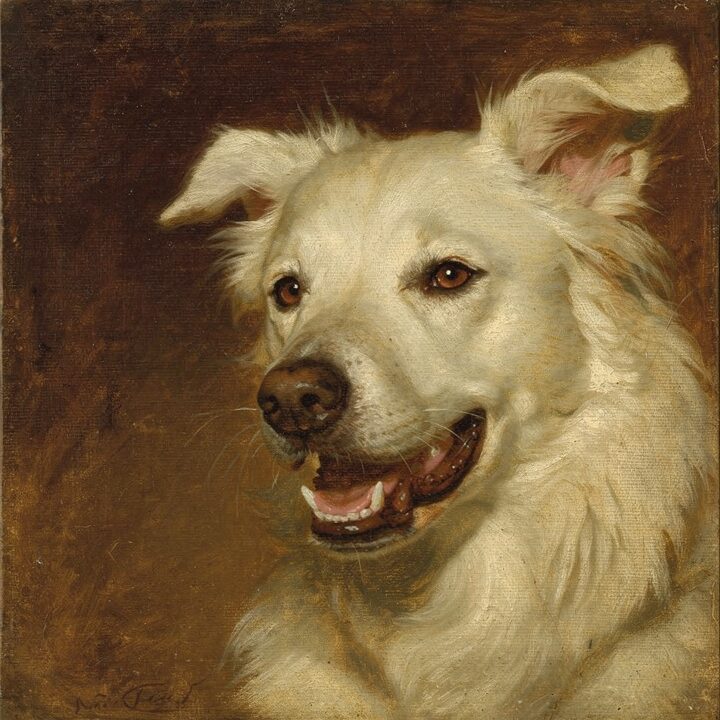 Oil Painting portrait sample