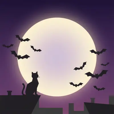 Midnight Cat Silhouette preview