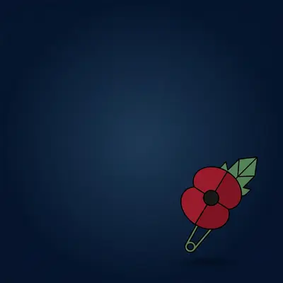 Minimalist Poppy Pin preview